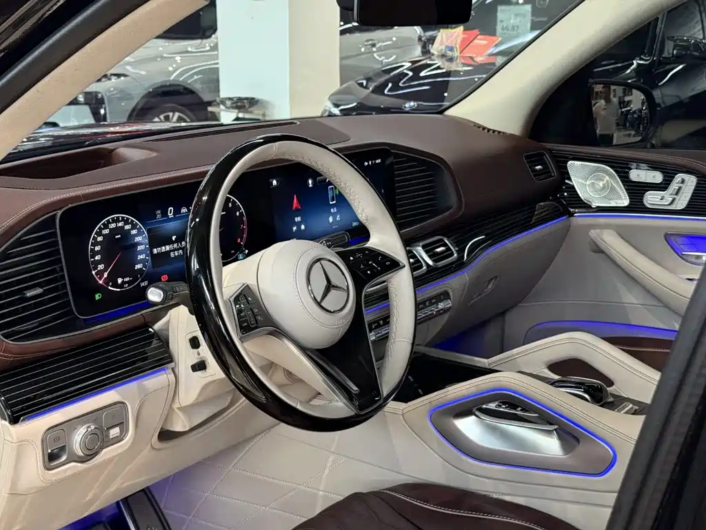 Mercedes-Benz Maybach GLS 2025 — фото 22