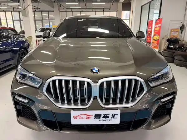 BMW X6 2021