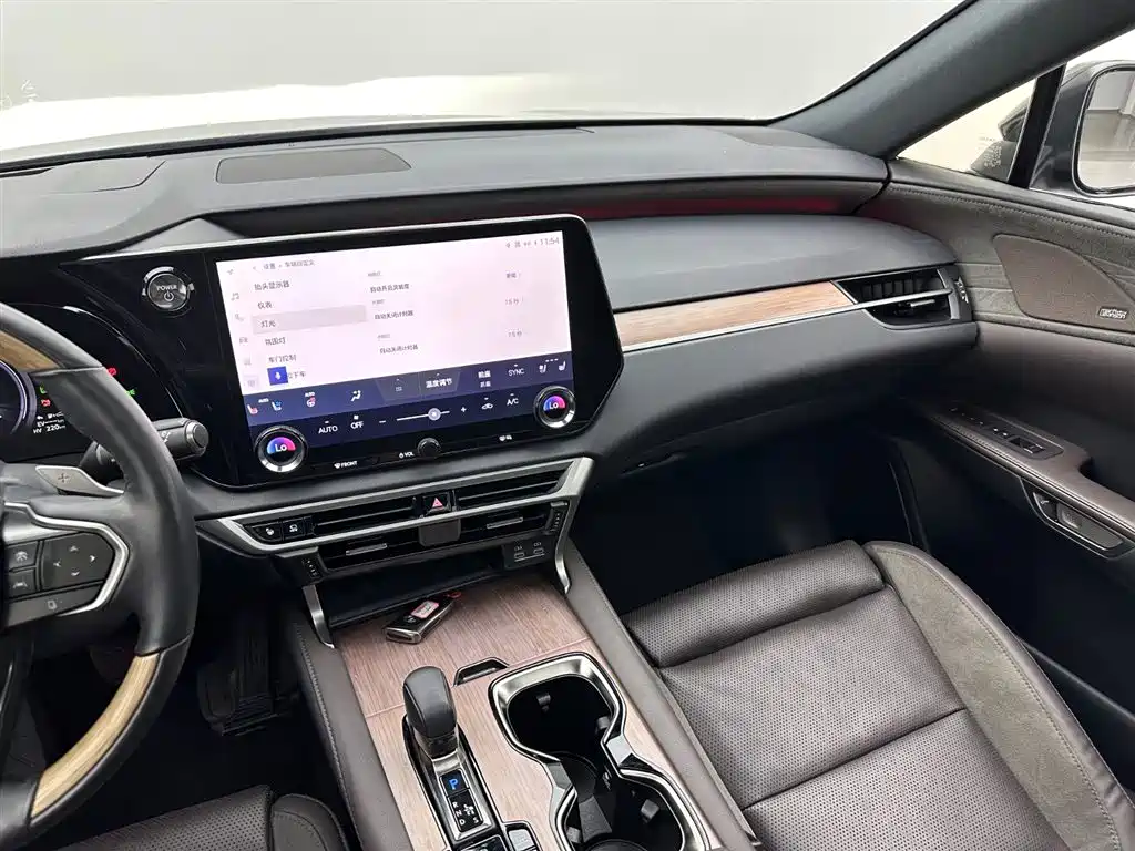 Lexus RX New Energy 2023 — фото 15