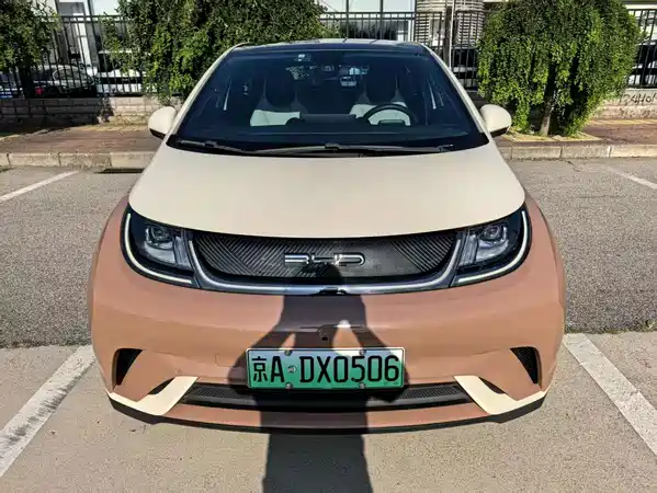 BYD Dolphin 2021