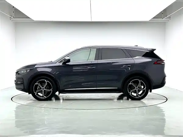 BYD Tang New Energy 2021