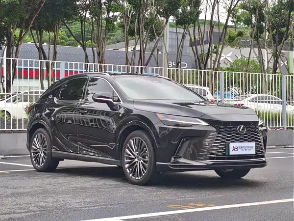 Lexus RX New Energy 2024