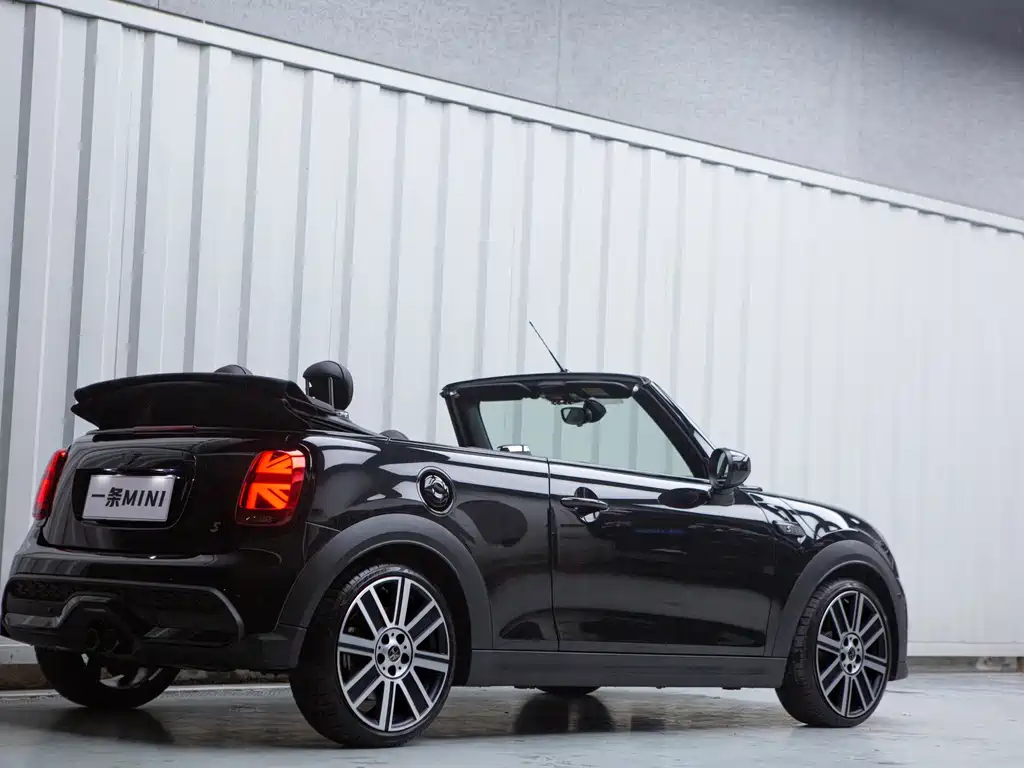 MINI MINI 2024