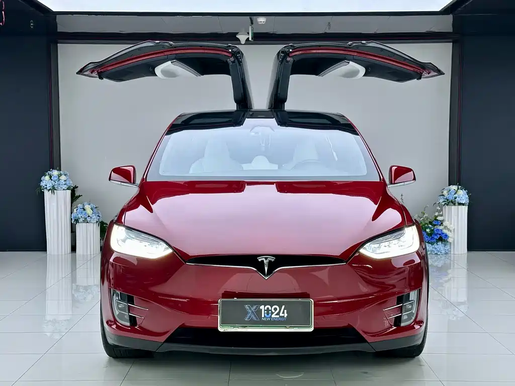 Tesla Model X 2018 — фото 2