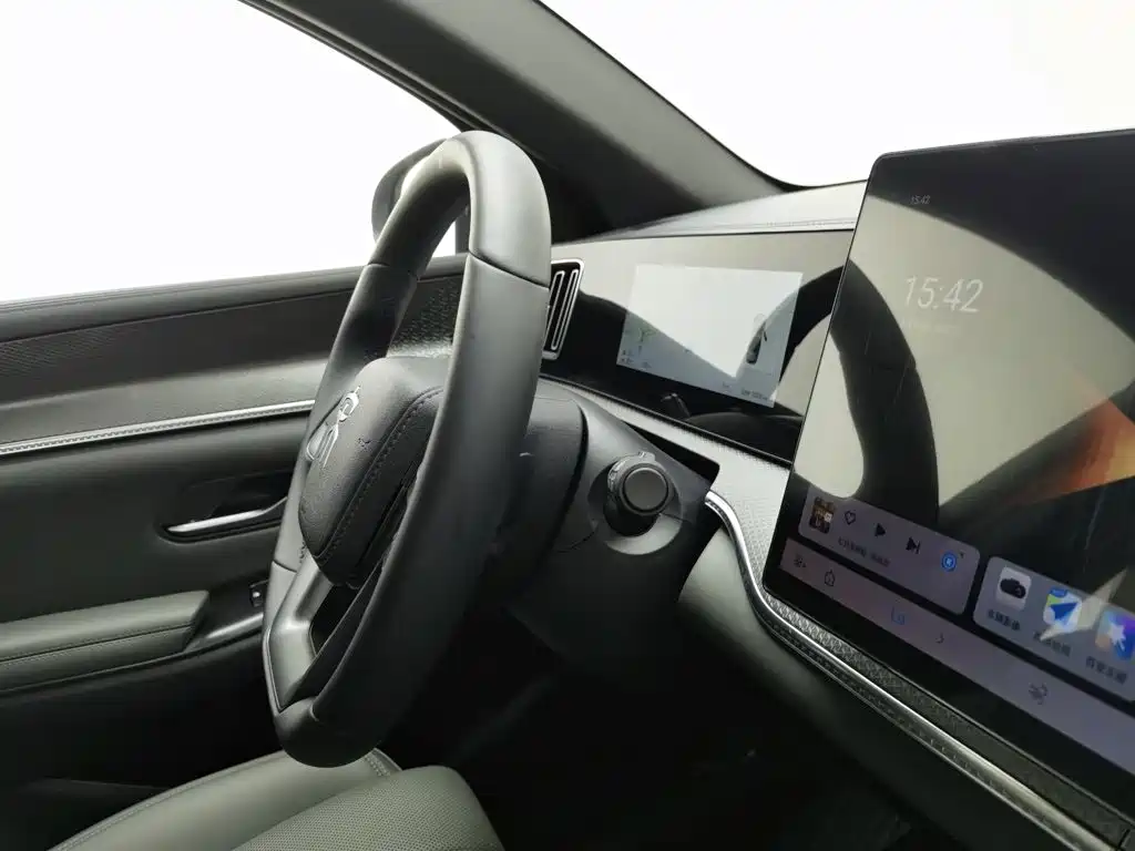 BYD Song Pro New Energy 2025 — фото 22