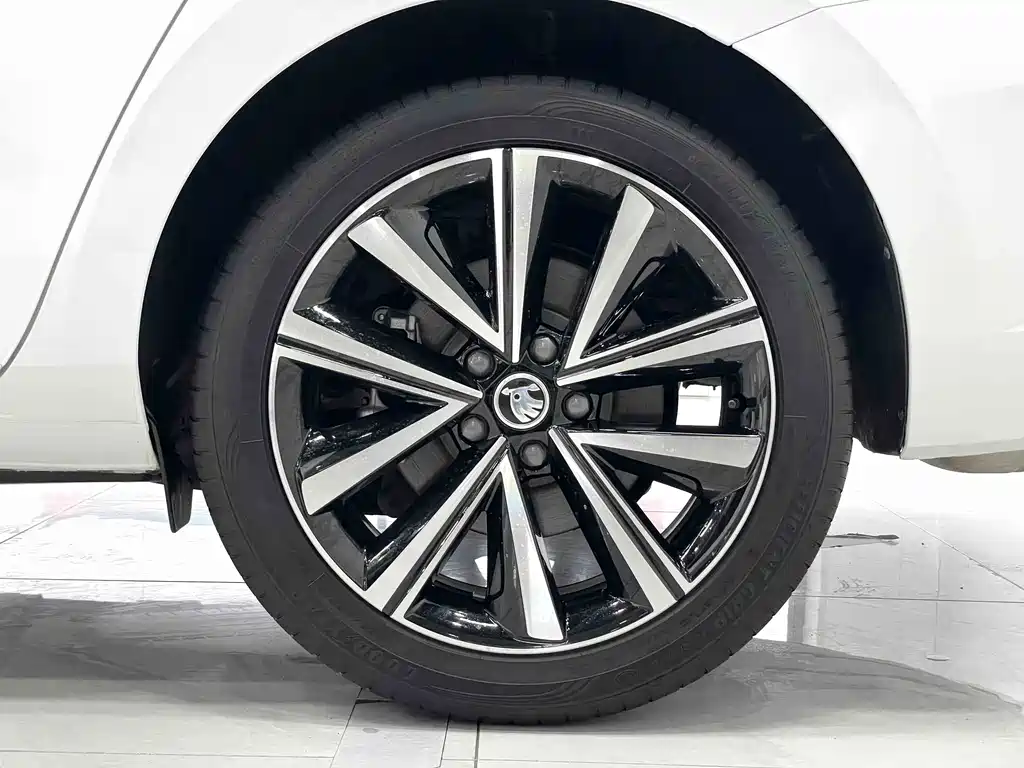 Skoda Speedy 2023 — фото 20