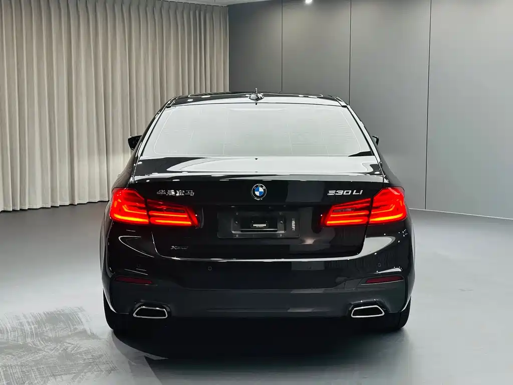 BMW 5 Series 2018 — фото 5