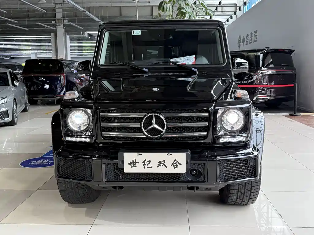 Mercedes-Benz G-Class 2017 — фото 2