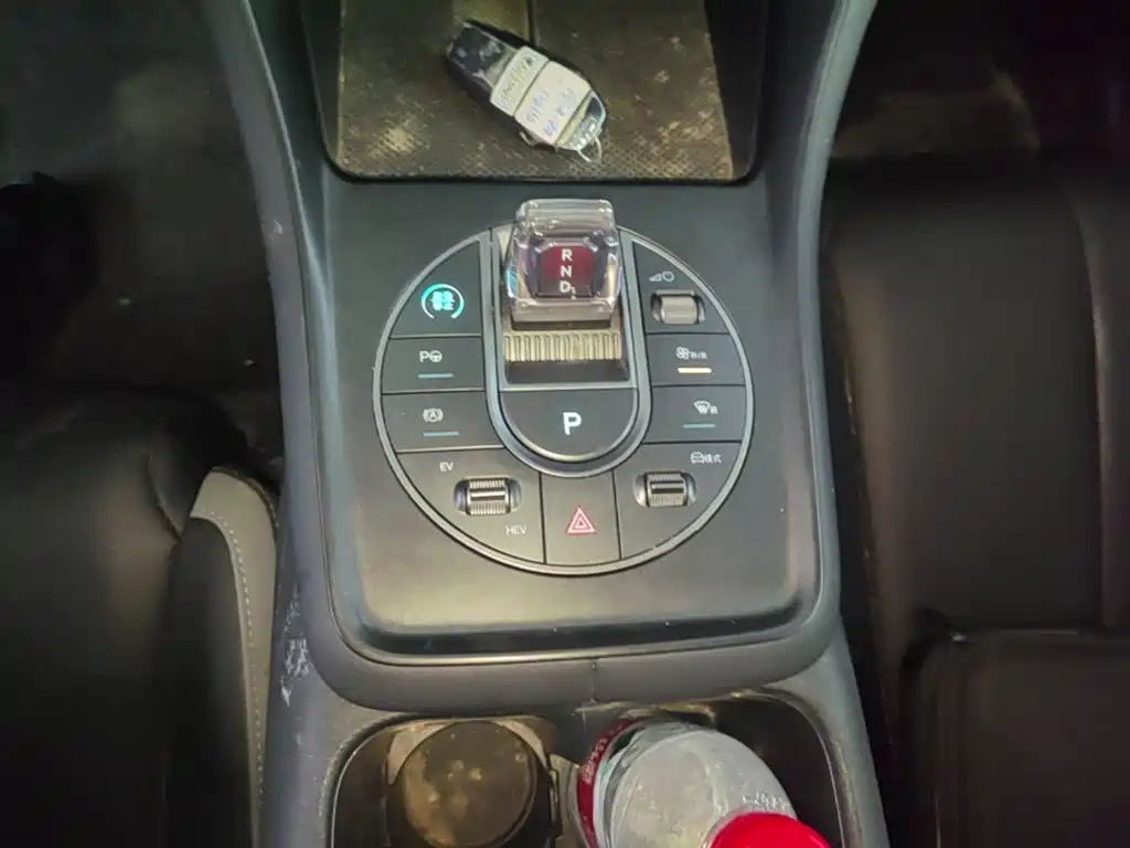 BYD Sealion 05 DM-i 2025 — фото 14