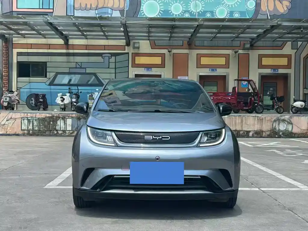BYD Dolphin 2024