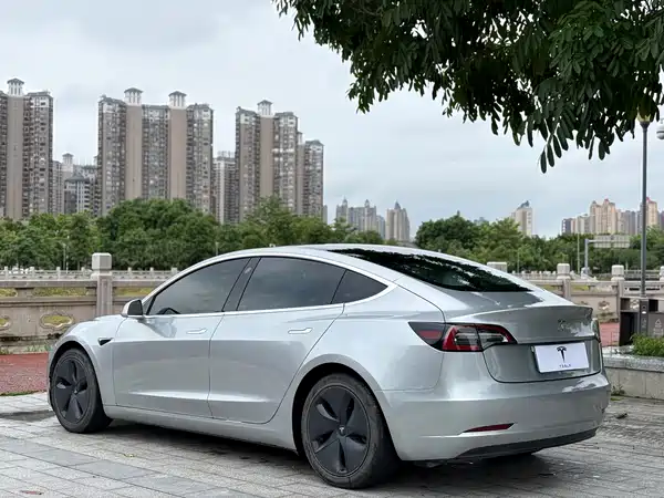 Tesla Model 3 2020