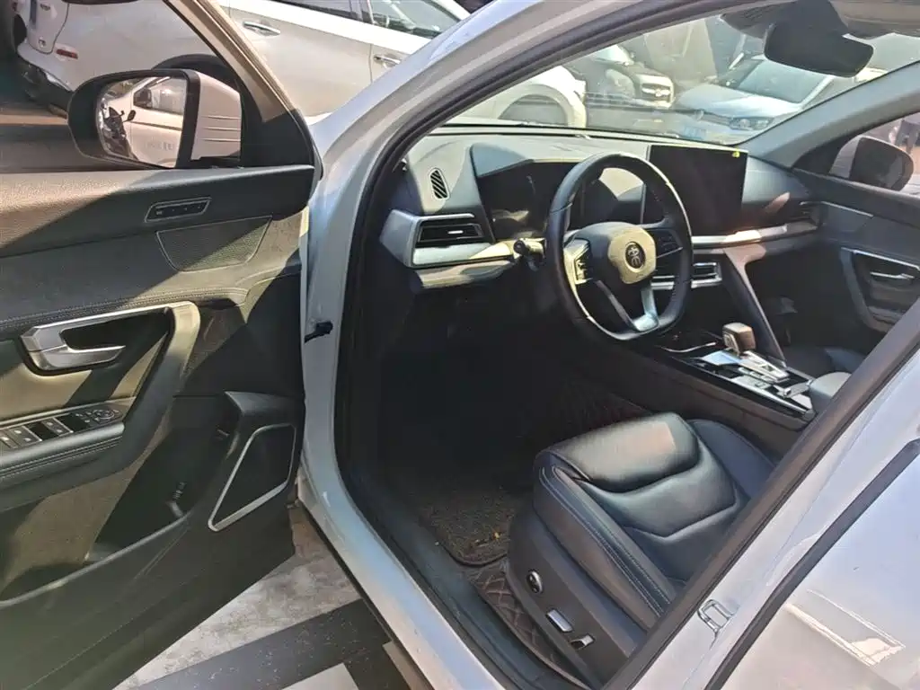 BYD Pro New Energy 2020 — фото 16