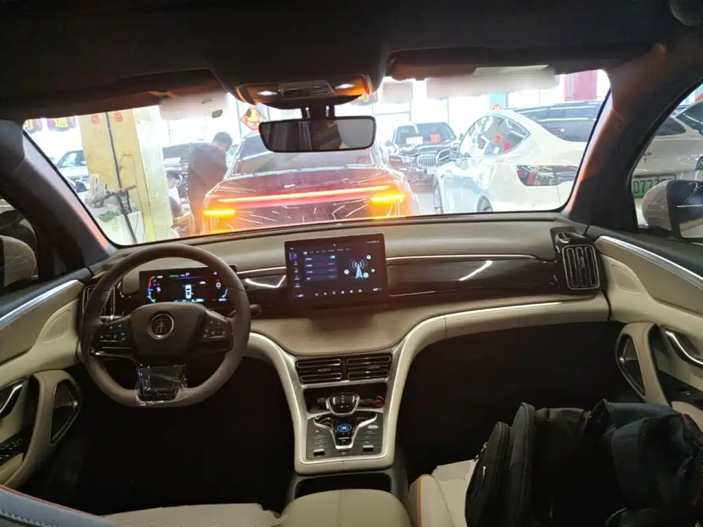 BYD Pro New Energy 2024 — фото 10