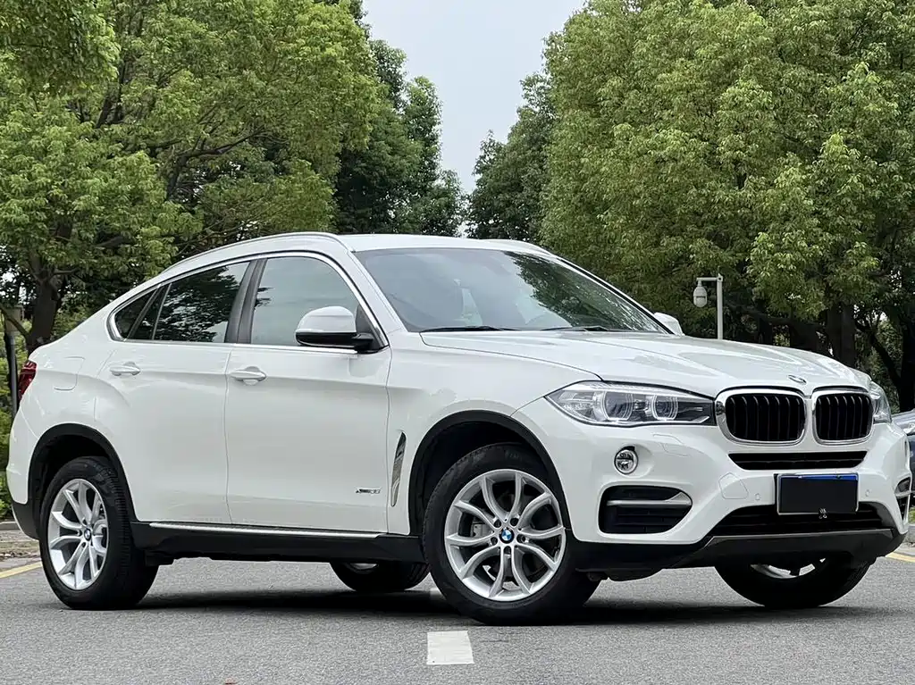 BMW X6 2015 — фото 2