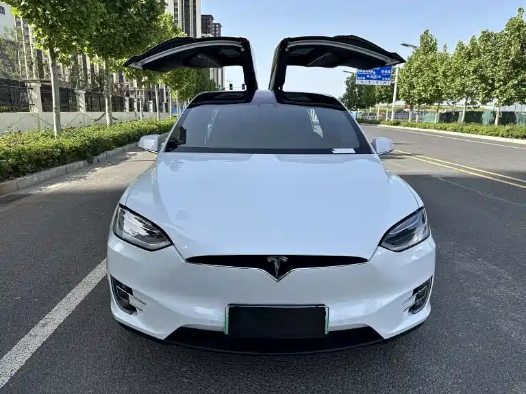 Tesla Model X 2019 — фото 6