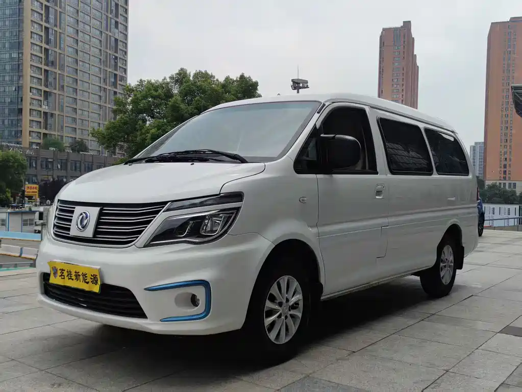 Fengxing Lingzhi New Energy 2021