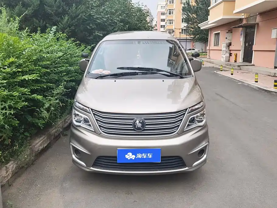Fengxing Lingzhi 2023