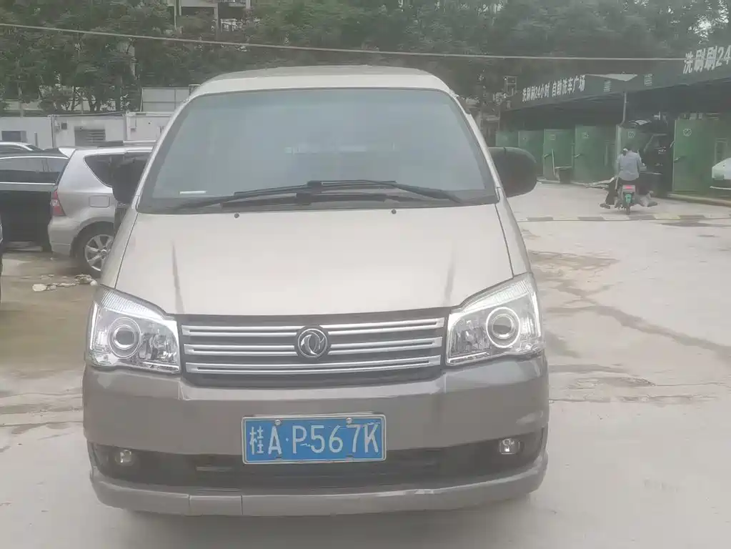 Fengxing Lingzhi 2017