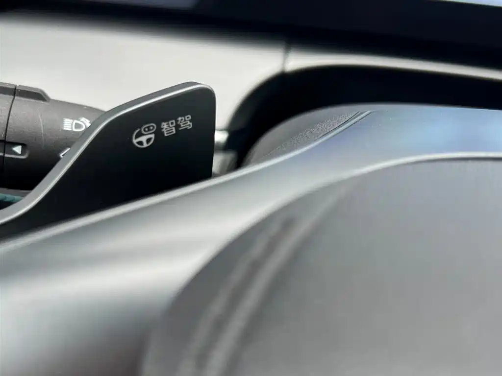BYD L DM-i 2025 — фото 13