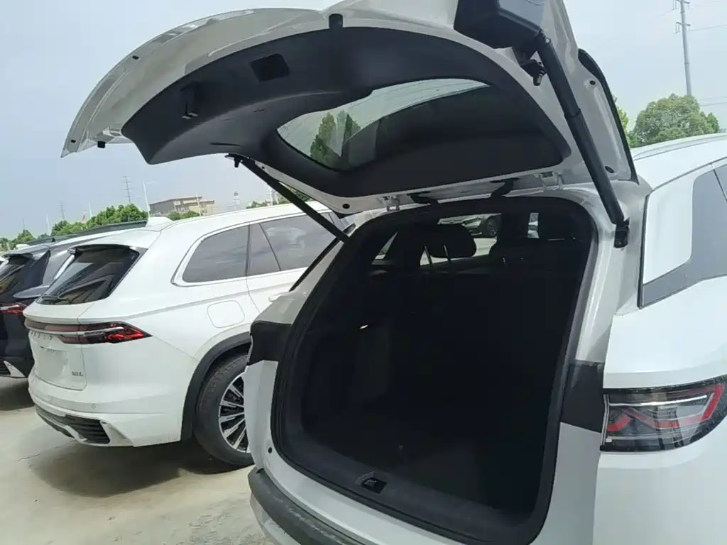 BYD L DM-i 2026 — фото 19
