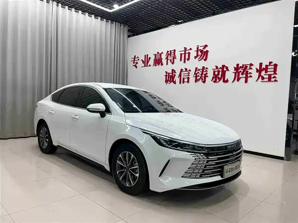 BYD Destroyer 05 2024