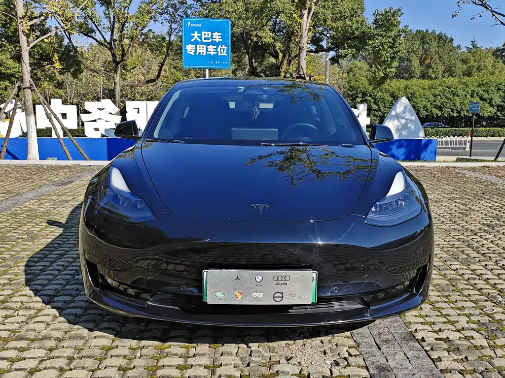 Tesla Model 3 2021 — фото 2