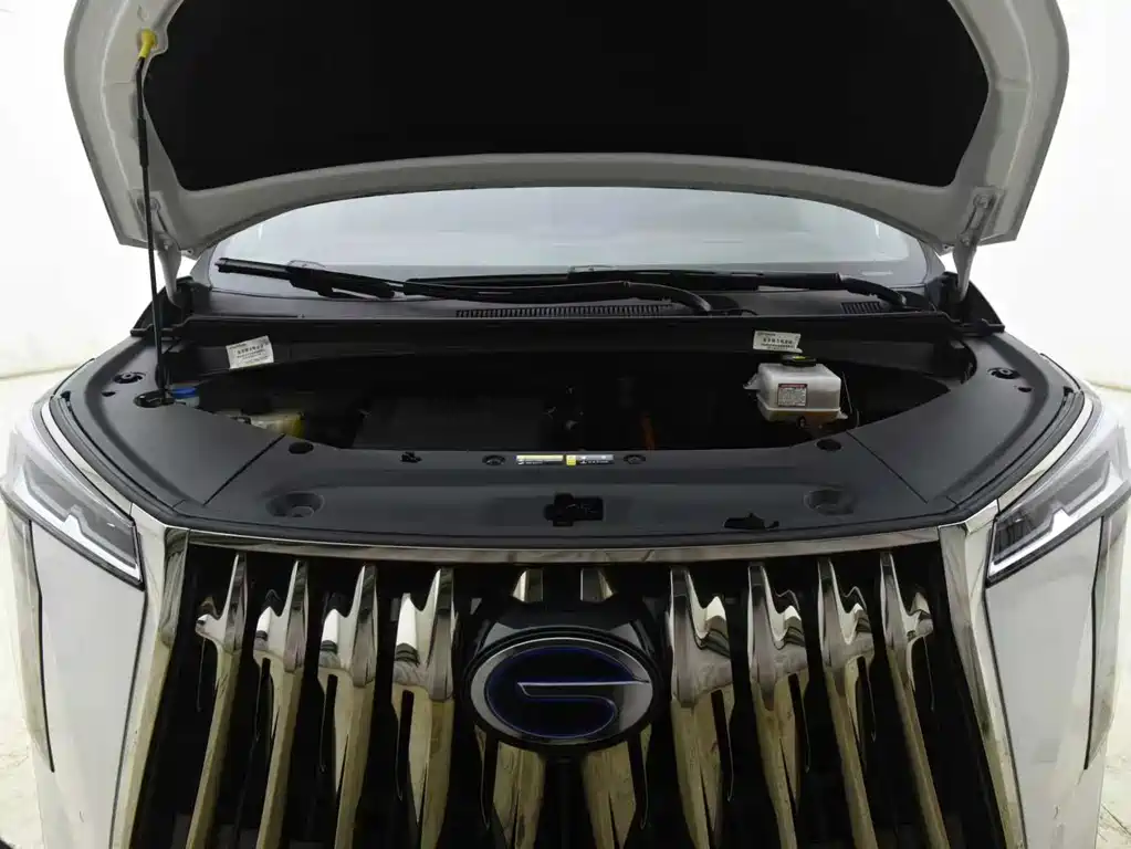 GAC Motor Trumpchi M8 2023 — фото 15