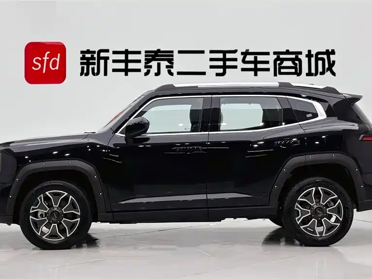 Haval Dargo PLUS EV 2023 — фото 4