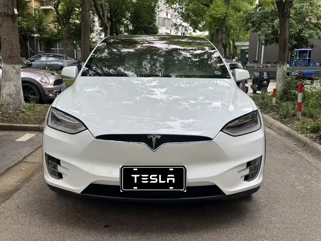 Tesla Model X 2018 — фото 2