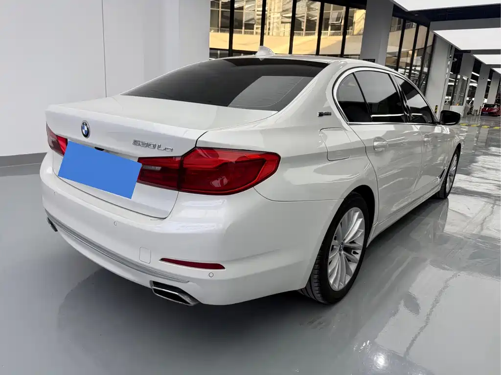 BMW 5 Series New Energy 2019 — фото 18
