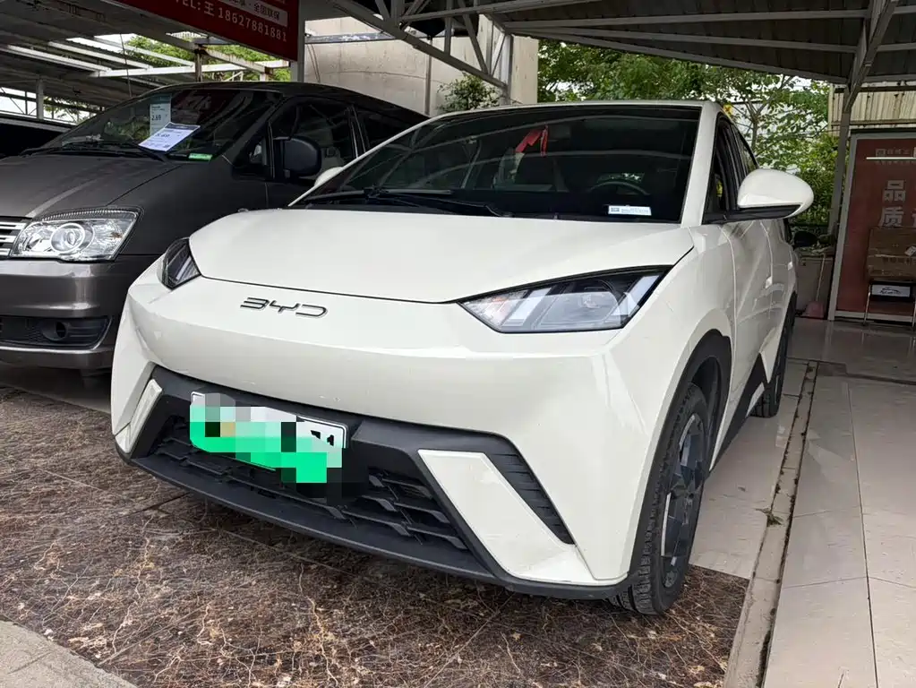 BYD Seagull 2024