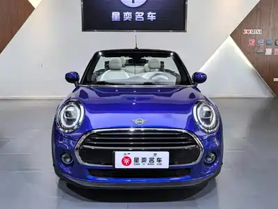MINI MINI 2019