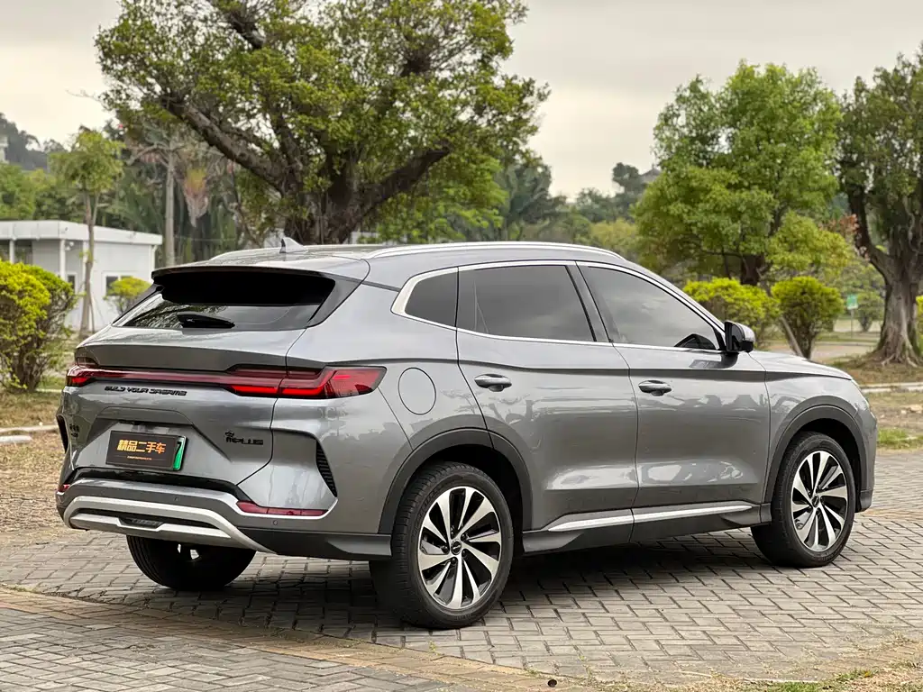 BYD PLUS New Energy 2023 — фото 5