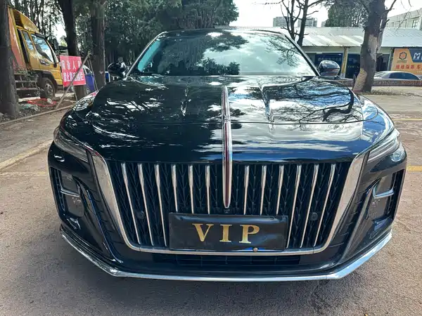 Hongqi H5 2024