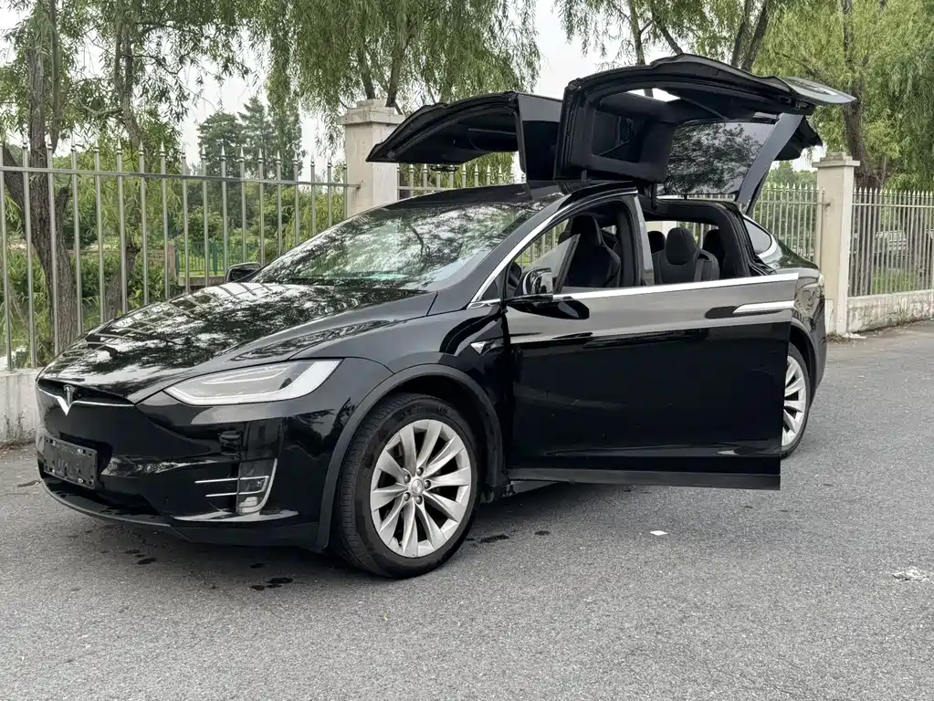 Tesla Model X 2019 — фото 9