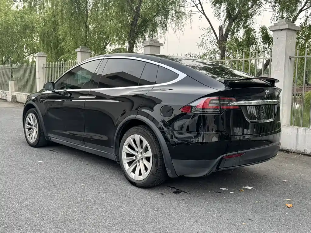 Tesla Model X 2019 — фото 3
