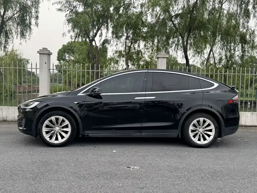 Tesla Model X 2019 — фото 4