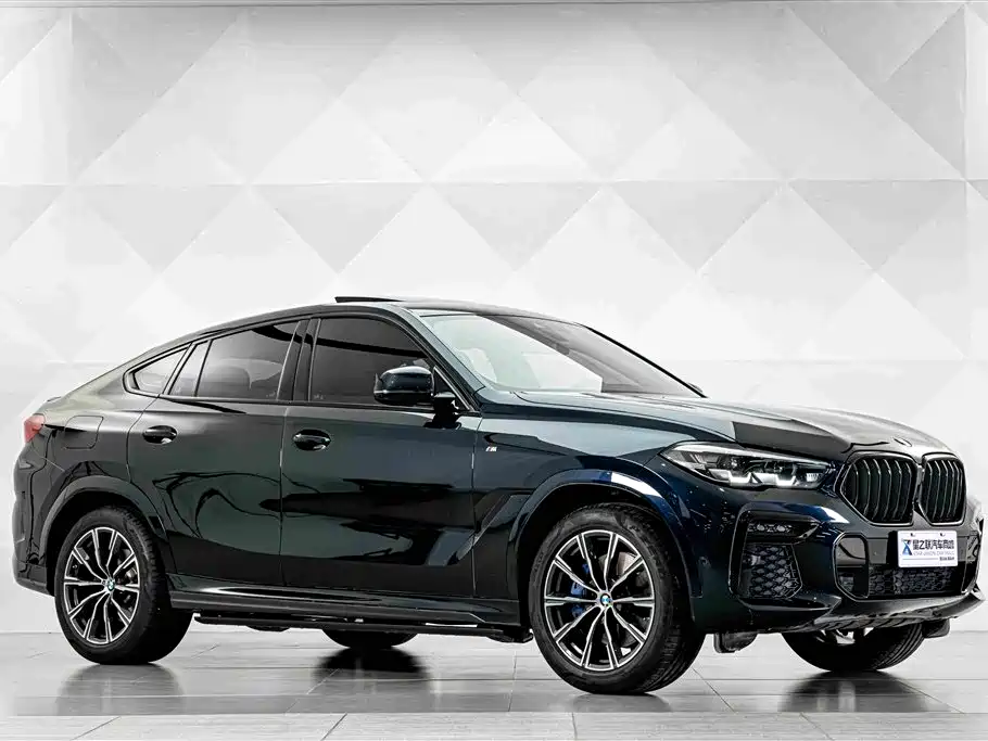 BMW X6 2023 — фото 5