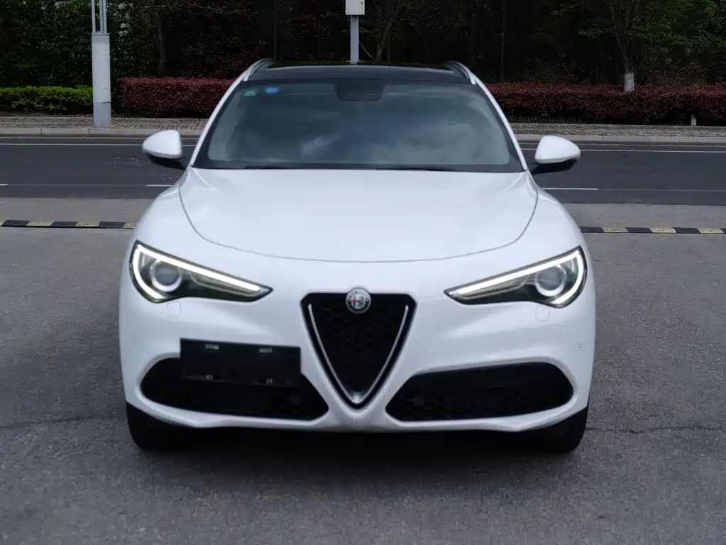 Alfa Romeo Stelvio 2019 — фото 2