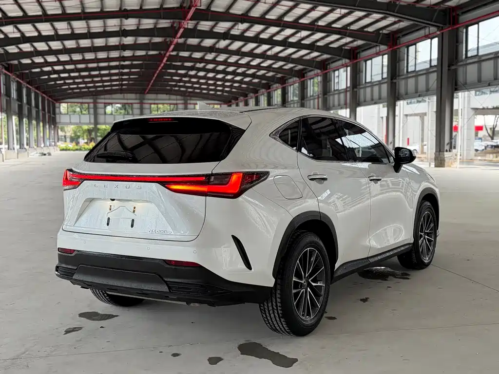 Lexus NX New Energy 2021 — фото 14