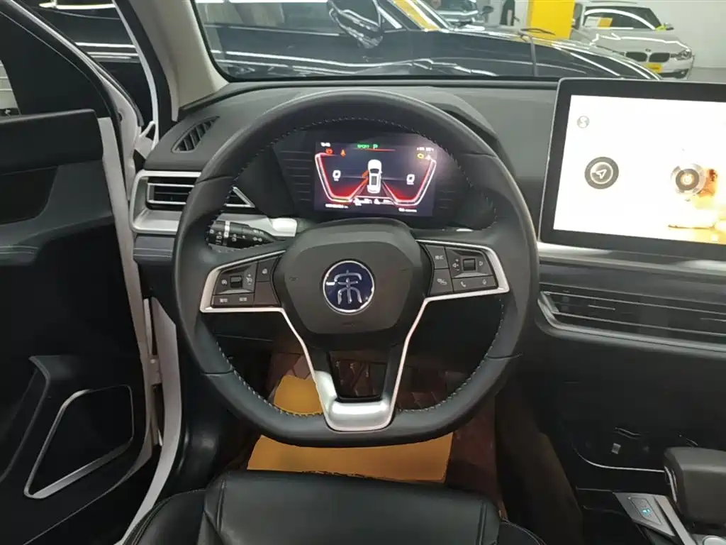 BYD Pro New Energy 2020 — фото 11