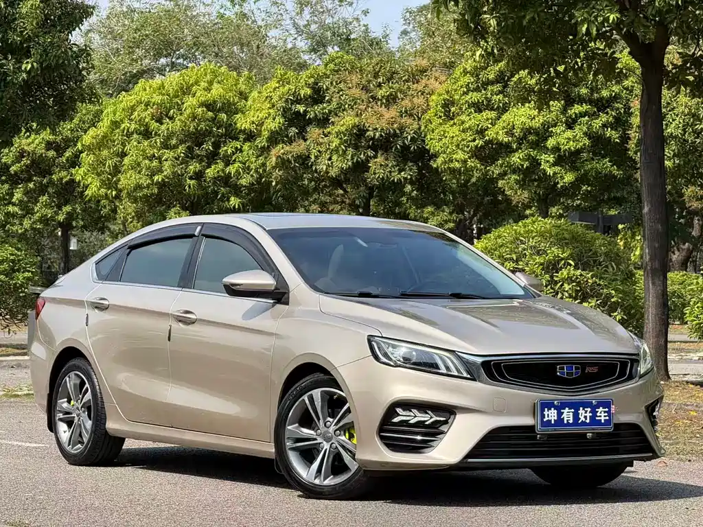 Geely Binrui 2019 — фото 2