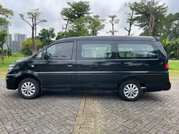 Dongfeng Lingzhi 2018