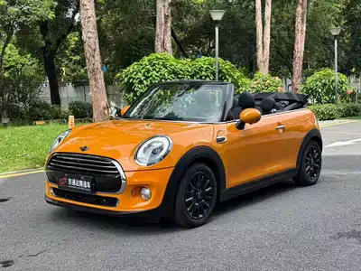 MINI MINI 2017