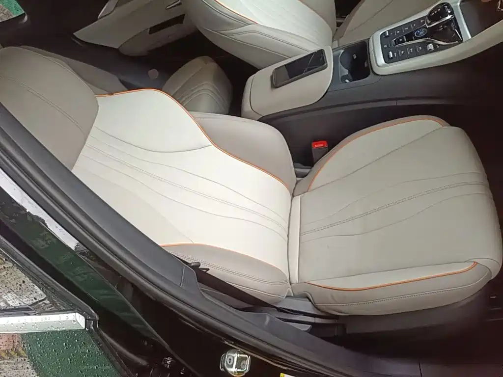 BYD Pro New Energy 2024 — фото 25