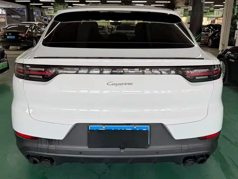 Porsche Cayenne 2020 — фото 15