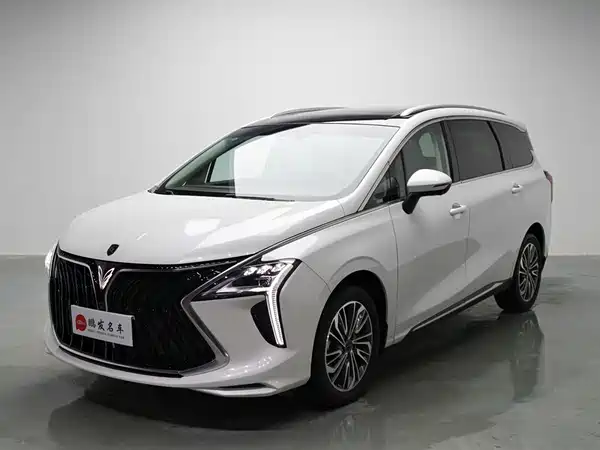 Dongfeng Popular Yacht 2024