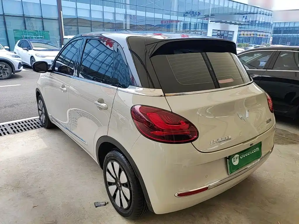 Wuling Bingo 2024