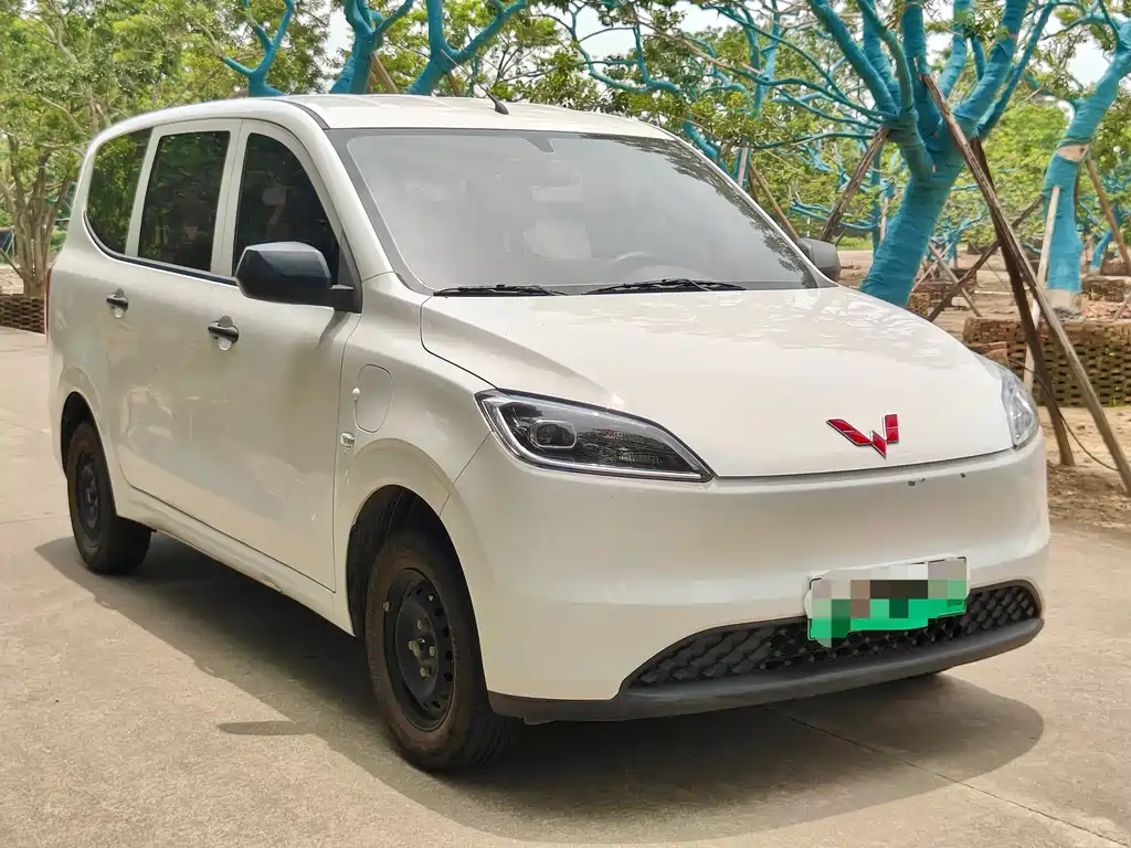 Wuling Hongguang New Energy 2025