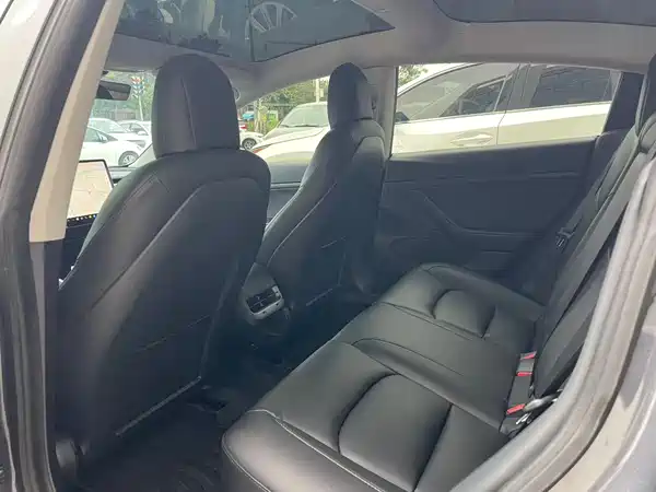 Tesla Model 3 2019